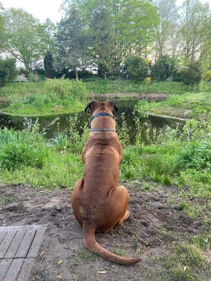 Wildwestruurlo Vakantiehuis *